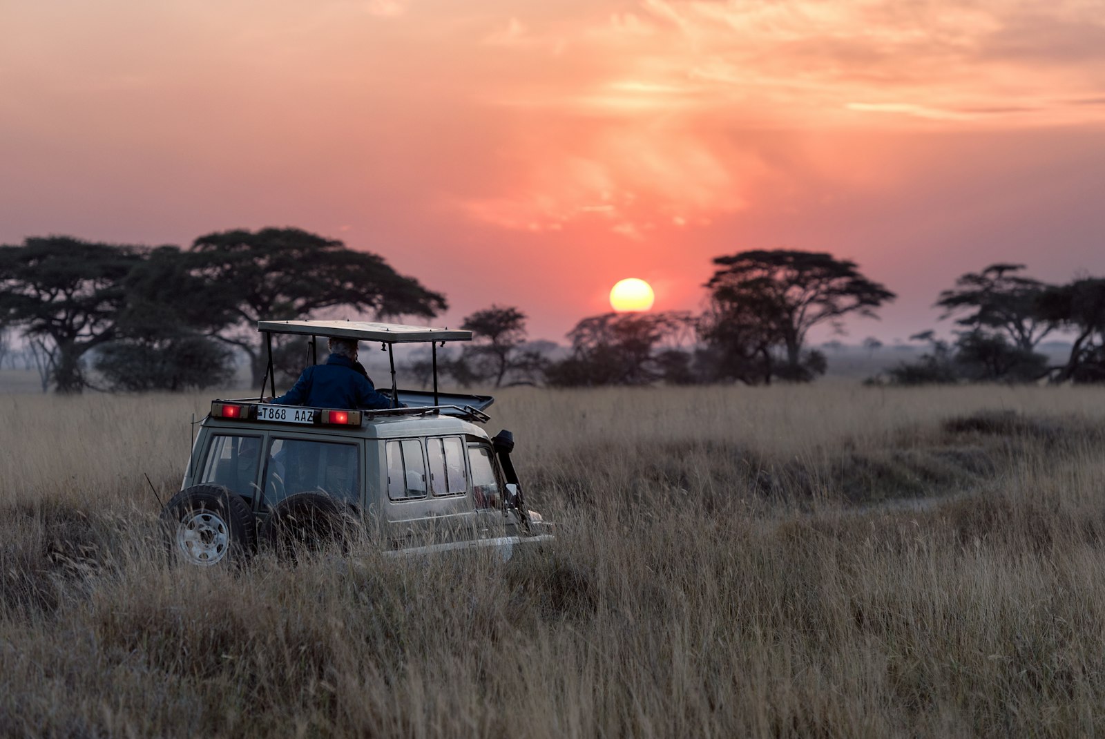 Game drive at sunset