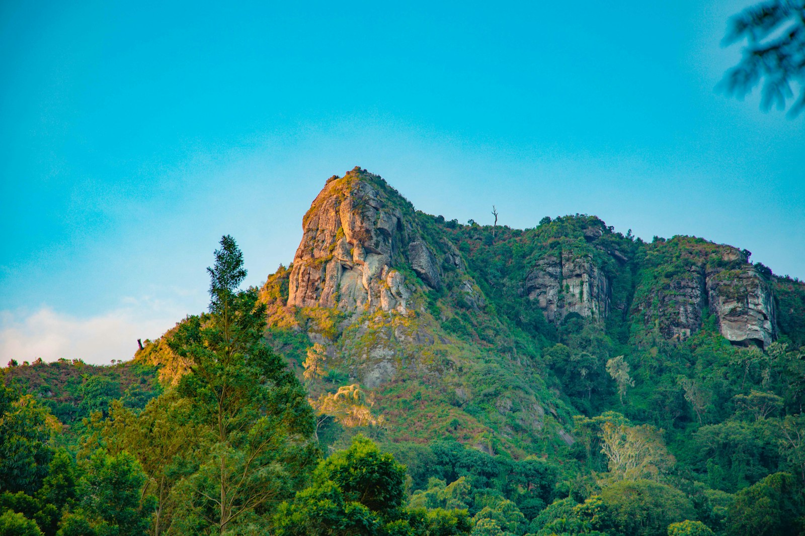 Climate action