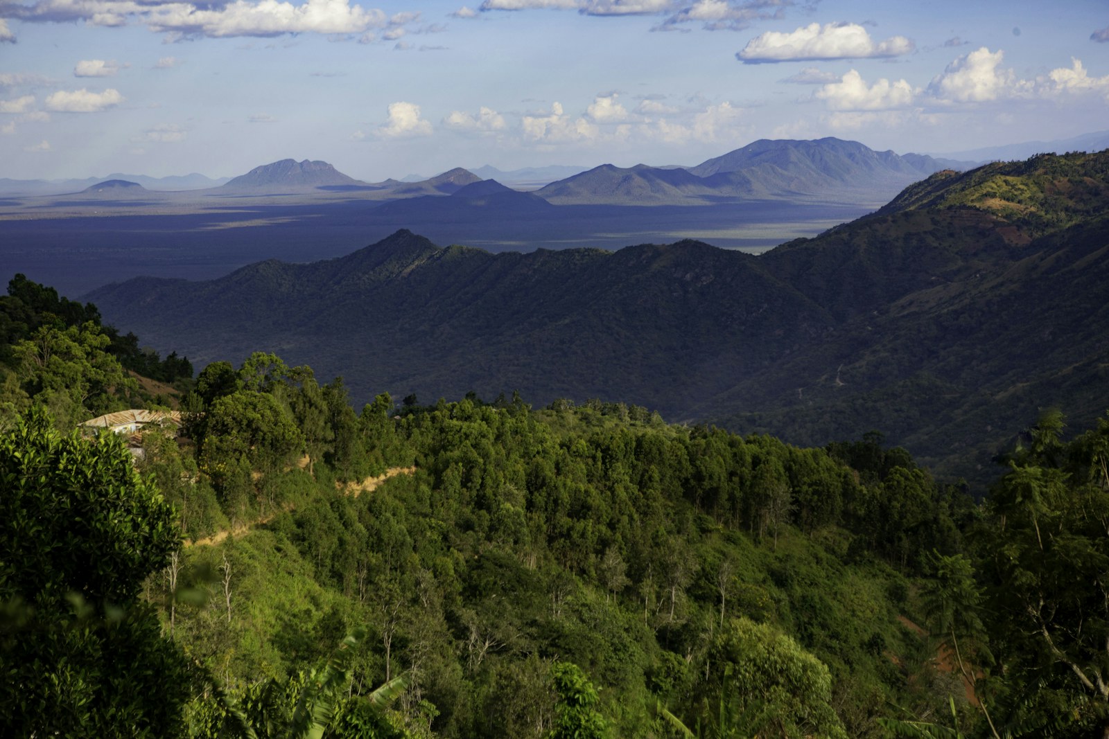 Tanzania landscape