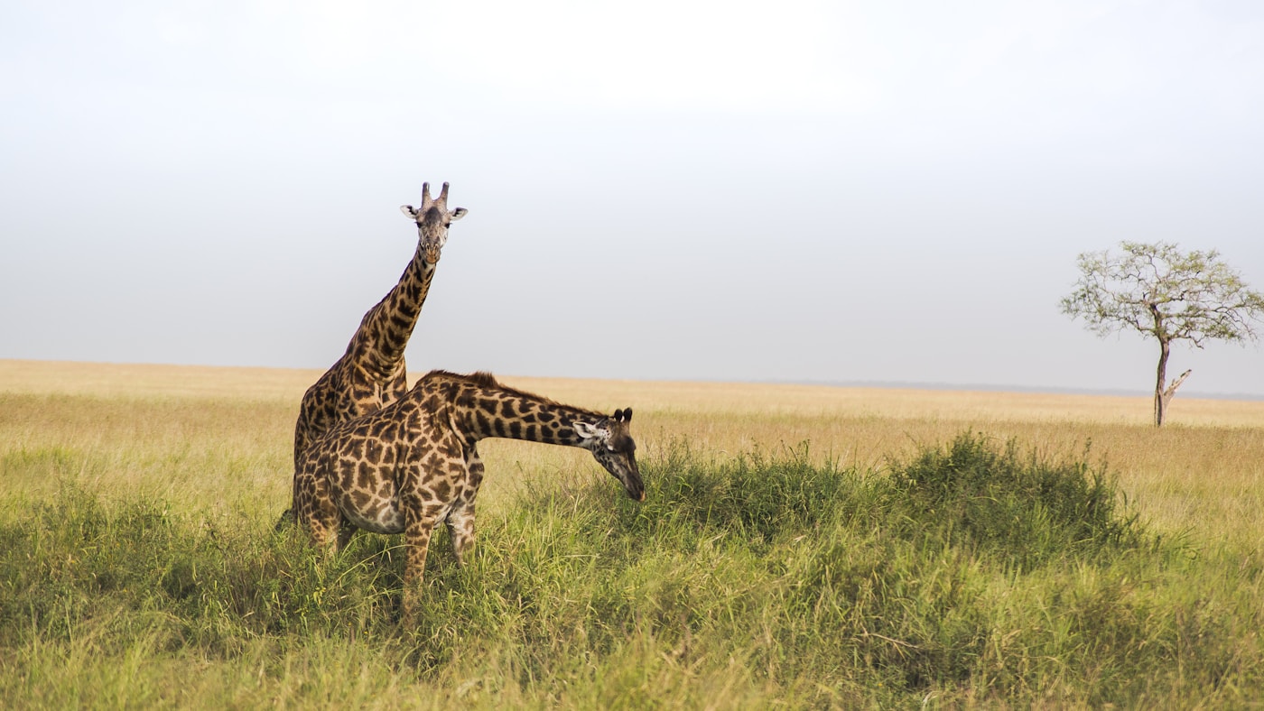 Sustainable tourism