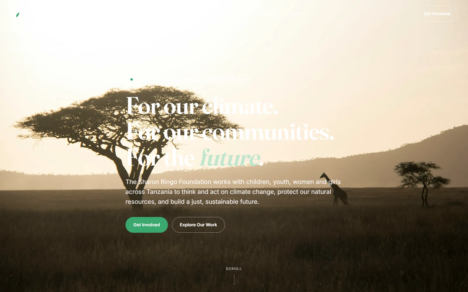 Sharon Ringo Foundation website